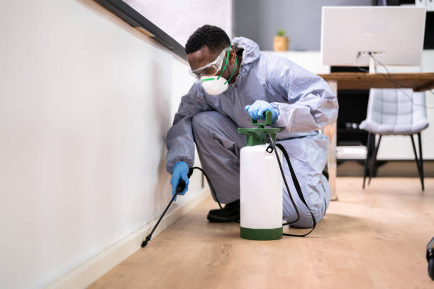 Best Pest Prevention Services  in Rice Lake, MN